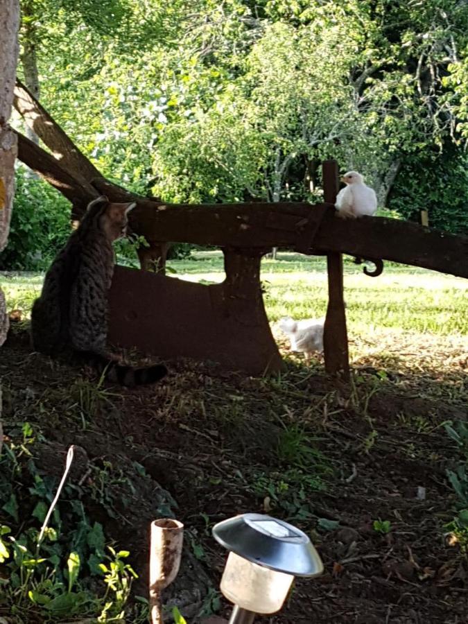 Les 3 Tilleuls Bellac Esterno foto